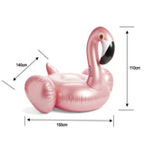 Flamingo Inflatable Pool Float