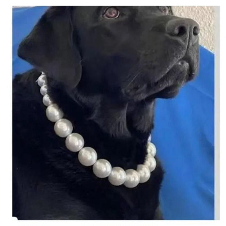 Luxury Pearls Dog Collar Necklace – Elegant Party & Wedding Accessory for Small Pets