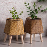 Handmade Rattan Plant Pots – Decorative Flower Pots for Indoor & Outdoor Use