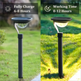 Chic Single Solar LED Garden Lamp, Super Bright & Weather-proof