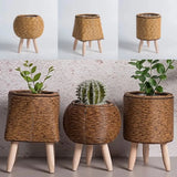 Handmade Rattan Plant Pots – Decorative Flower Pots for Indoor & Outdoor Use