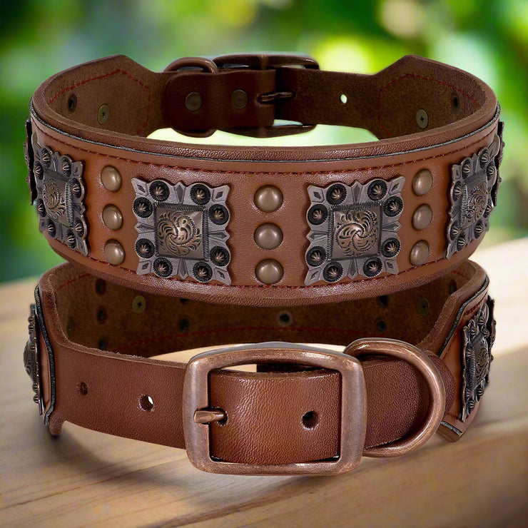 Cool Spiked Genuine Leather Dog Collar – Adjustable for Medium & Large Breeds