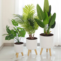 Hydra Bloom Self-Watering Planter with Wooden Legs