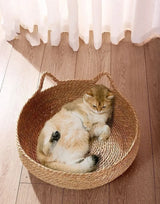 Four Seasons Handcrafted Cat Nest