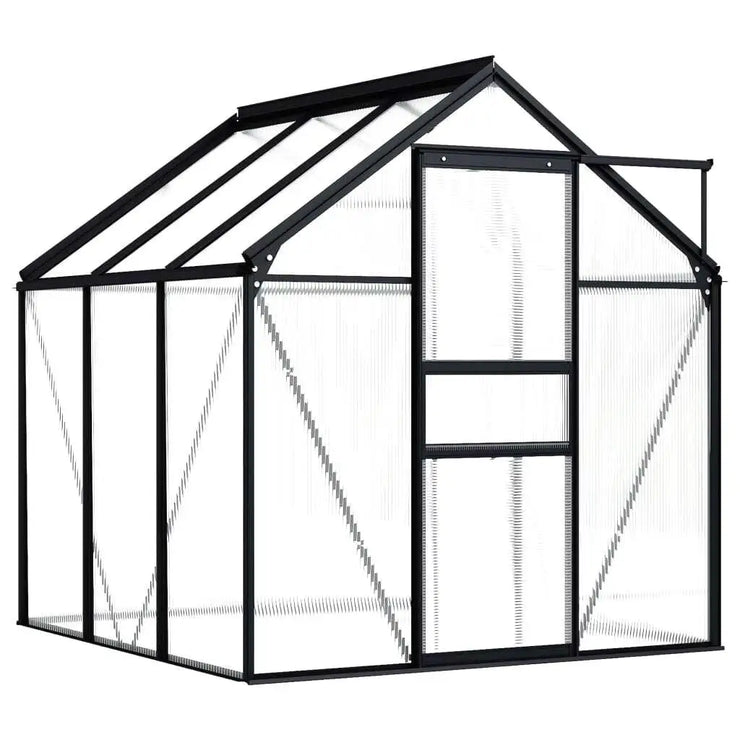 Anthracite Aluminium Greenhouse for All-Season Gardening