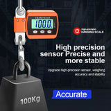 ProLift Digital Luggage and Crane Scale