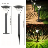 Chic Single Solar LED Garden Lamp, Super Bright & Weather-proof