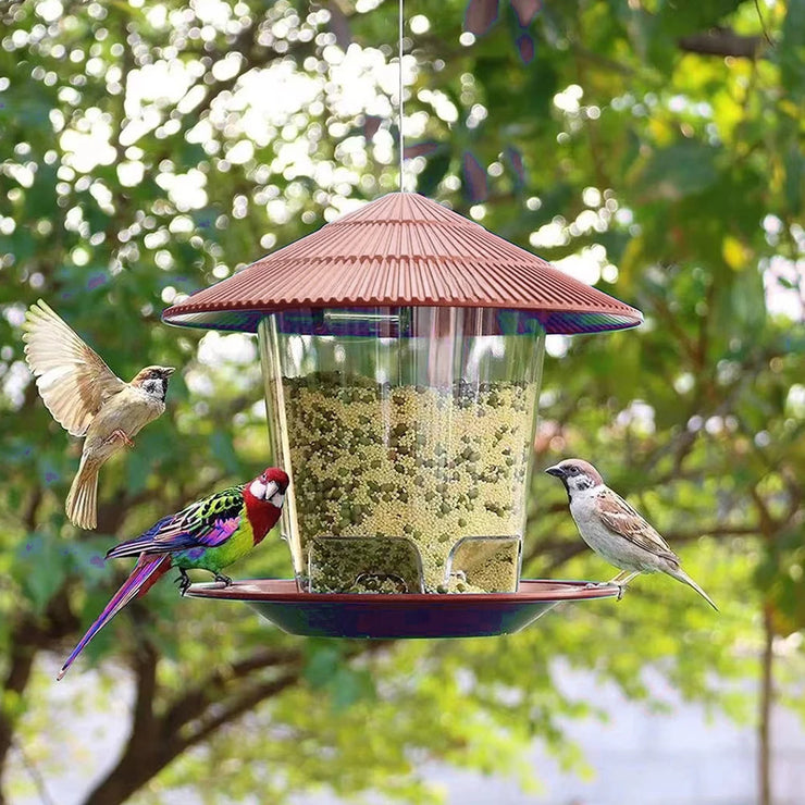 SkyPerch Bird Diner