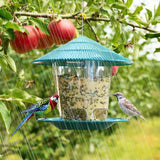 SkyPerch Bird Diner