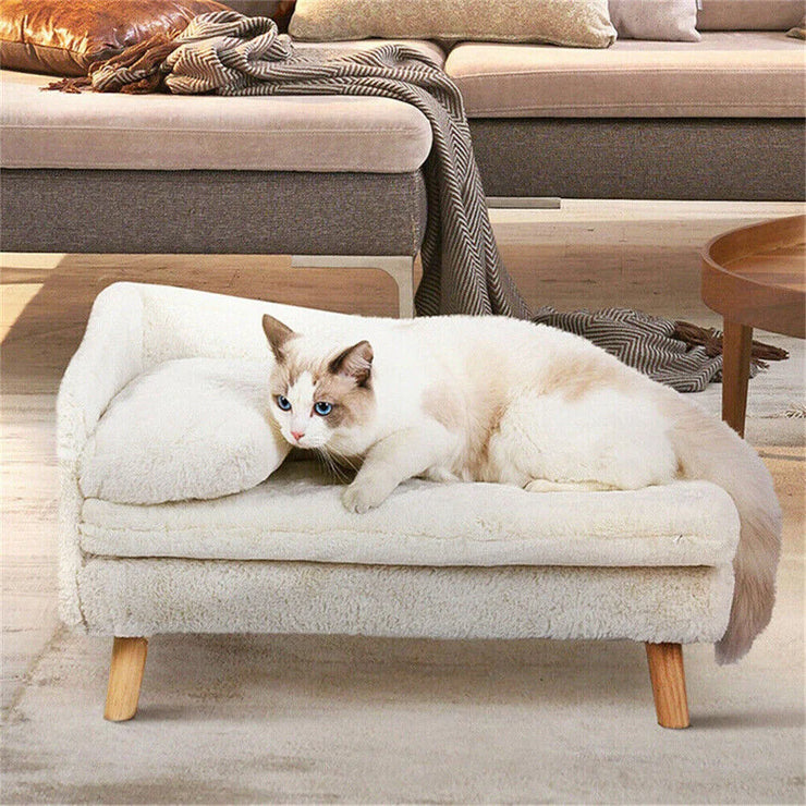 Luxury Elevated Cat & Small Dog Sofa Bed with Backrest - Plush Cushion, Wooden Legs